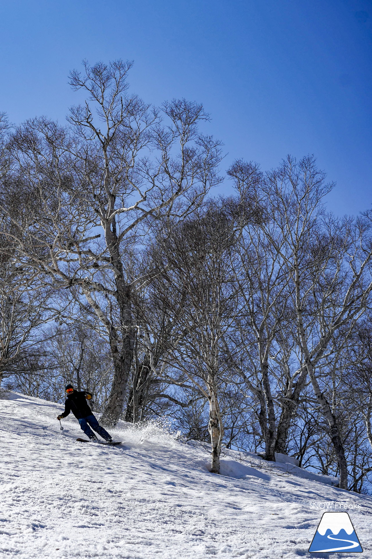 ニセコグラン・ヒラフ DYNASTAR SKI TEST RIDE DAYS Photo Session!!最高の天気に恵まれたニセコに、最高の仲間たちが集まりました☆